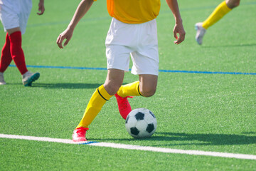 Fototapeta premium サッカー フットボール