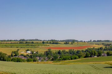 Fototapeta na wymiar Summer landscape, Terrain of hilly countryside in Zuid-Limburg, Small houses on hillside, Green grass and Papaver rhoeas (poppy) Gulpen-Wittem is a villages in Dutch province of Limburg, Netherlands.