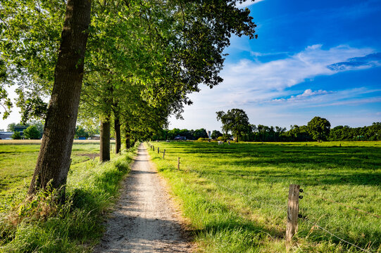 Wiefelstede im Ammerland