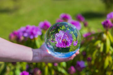 Fototapety na wymiar - Fototapeta24.pl