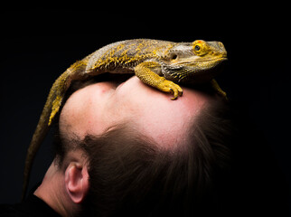 close-up of a bearded dragon with a bearded man