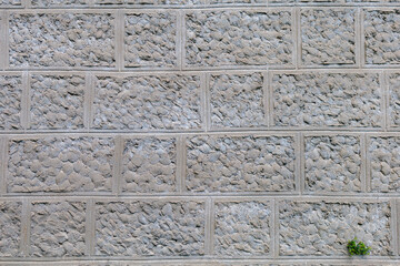 Plaster imitating natural stone. Rough textured wall surface. Background or backdrop. Blank for design
