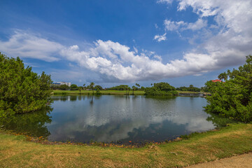 Fototapeta na wymiar Beautiful view of lake and green golf courses on island of Aruba on blue sky with white clouds background.