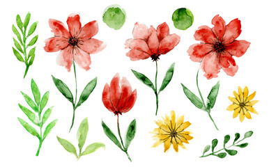 Set of cute watercolor red and yellow daisy flowers and green leaves. Tender watercolour floral elements for invitation, botanical pattern, wedding or greeting cards design, sticker, banner decor
