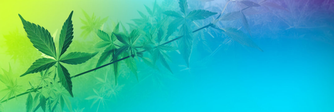 simplified panorama depicting a stylized medicinal herb leaf, against a vibrant gradient background, symbolizing herbal medicine