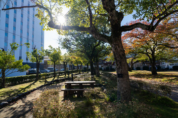 京都　舞鶴　東舞鶴の街並み