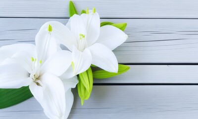 Lily flowers on white wooden background