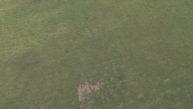 Aerial photography in Taipei city.