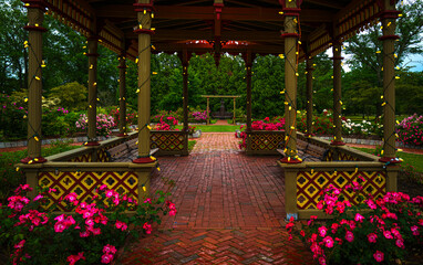 Fototapety na wymiar - Fototapeta24.pl