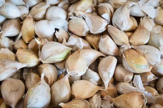 Elephant garlic cloves