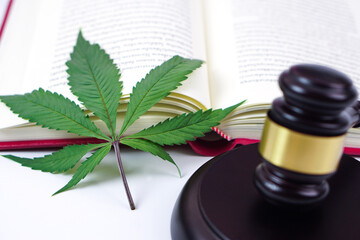 Focus of cannabis leaf or marijuana leaf, blurred  judge hammer and book placed on the back. Law, judiciary concept.