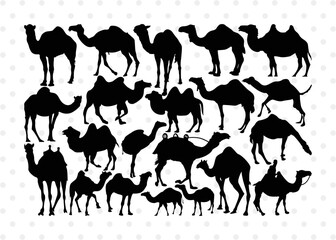 Camel Silhouette, Camel SVG, Desert Animal Svg, Black Camel Svg, Wild Animal Svg, Camel Bundle, SB00234