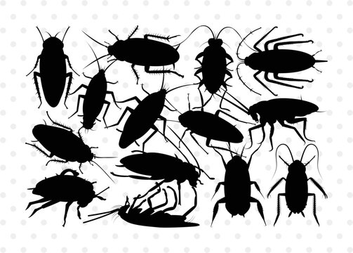 Cockroach Silhouette, Cockroach SVG, Cockroach Bug Svg, Bug Svg, Roach Svg, Cockroach Bundle, SB00241