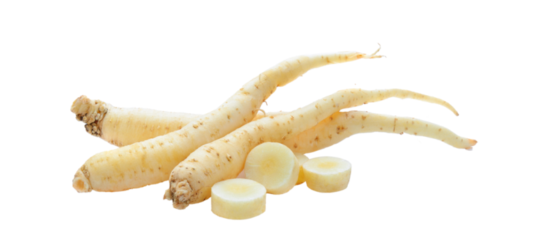 ginseng isolated on transparent png