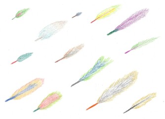 hand drawn colorful feathers 