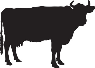angry cow illustration, cow vector suitable for eid al adha logo, cow silhouette suitable for qurban coupon background