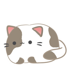 Fat cat, cute fat cat