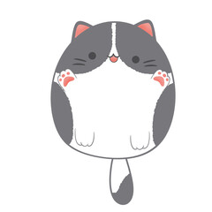 Fat cat, cute fat cat