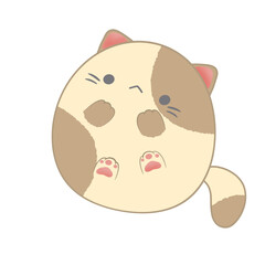 Fat cat, cute fat cat