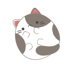 Fat cat, cute fat cat