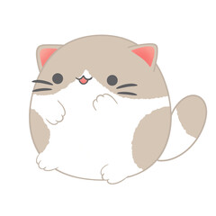 Fat cat, cute fat cat