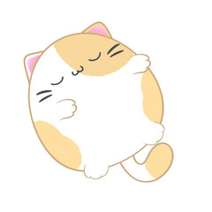 Fat cat, cute fat cat
