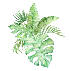 Foto op Aluminium Monstera Watercolor bouquet of bright tropical leaves