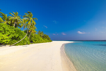 Best tranquility tropical landscape. White sand sunshine sea sky palm trees. Luxury travel vacation destination. Exotic beach landscape. Amazing nature, relax wellbeing, freedom summer shore seaside