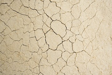 cracked earth texture