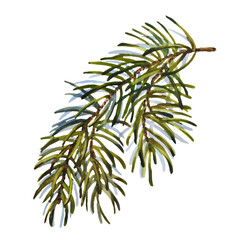 Watercolor Christmas set of fir branch. Hand painted holiday elements with winter plants isolated on white background. Floral illustration for design, print, fabric or background