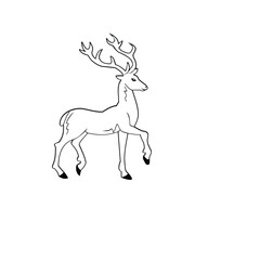 Deer illustration. Isolated on white background. Vector illustration.
