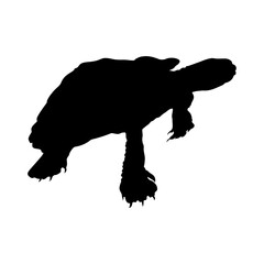 Swimming River Turtles Silhouette. Good To Use For Element Print Book, Animal Book and Animal Content