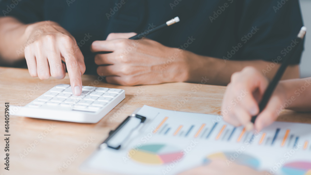 Aufkleber statistical analyst using calculator to calculate and read reports , graphs and charts, business statistics ,Analysis and improvement of corporate strategy ,manage financial and marketing documents