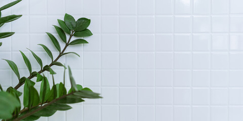 Plants in the cafe and white tiled walls