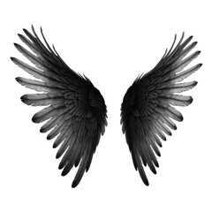 black wings isolated on transparent background cutout
