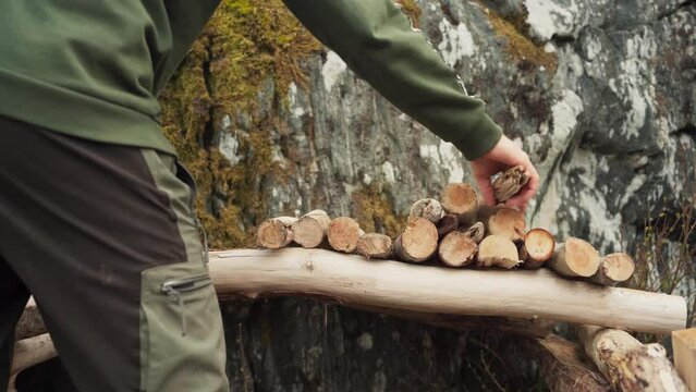 Timelapse Of Man Making Compost Pit With Chopped Woods. - close up