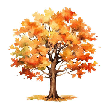 Autumn Symphony: Maple Tree Watercolor Isolated on White Background - Generative AI