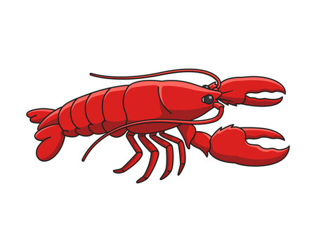 cartoon red lobster, Cute seafood shrimp painting, white background seafood illustration, vector