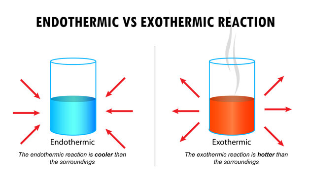 Diagram of the Endothermic and Exothermic reactions