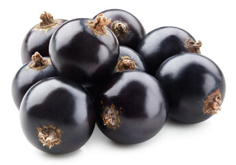 Black currant isolated