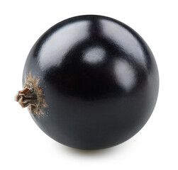 Black currant isolated