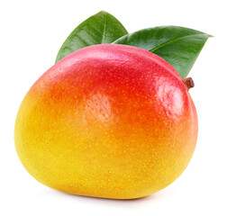 Mango isolated on white