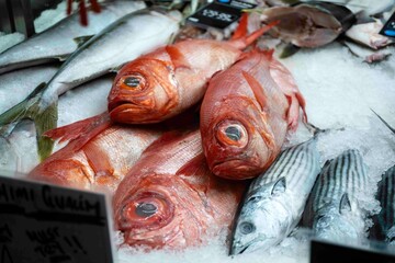 Melbourne Australia South Melbourne Market メルボルン　オーストラリア　サウスメルボルン　マーケット