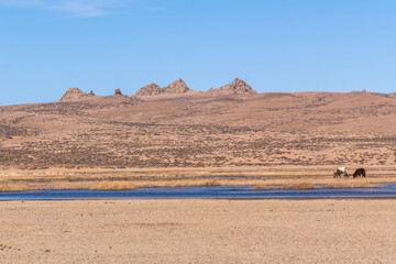 Hugnu-Tarna National Park, Central Mongolia