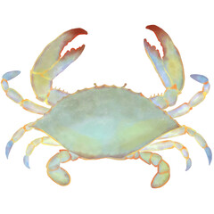 Crab 09