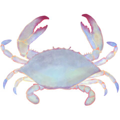 Crab 07