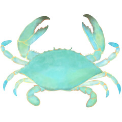 Crab 08