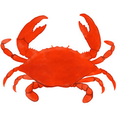 Crab 06