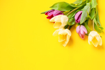 Beautiful tulips on yellow background, closeup