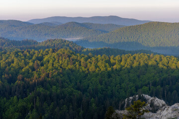 Vast forest on Bijele stijene mountains and forest, Croatia